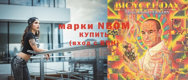 PSILOCYBIN Алзамай