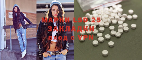 PSILOCYBIN Алзамай