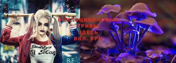 меф Алексин