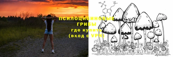 меф Алексин